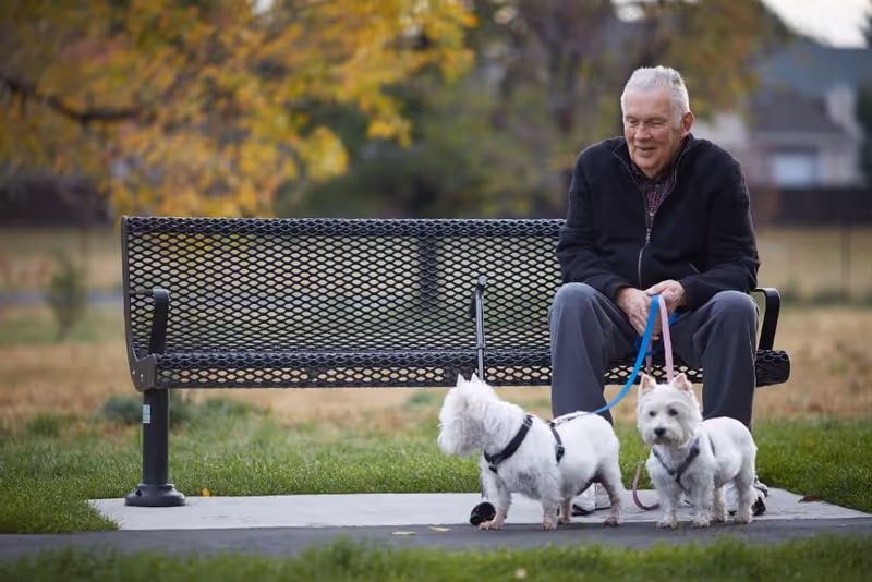 An elderly man sitting on a black metal bench in a park holding the leashes of two small white dogs. The background shows green grass and trees with autumn-colored leaves.