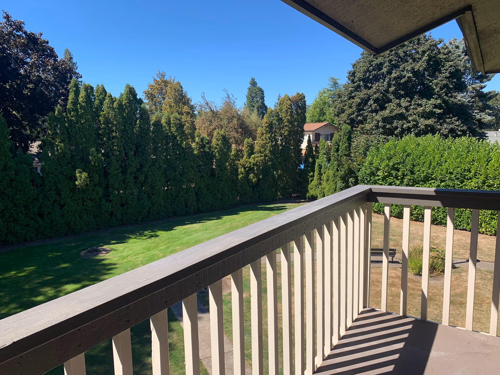 View from a balcony overlooking a green lawn with tall trees and shrubs under a clear blue sky at Creekside Village Retirement Residence.