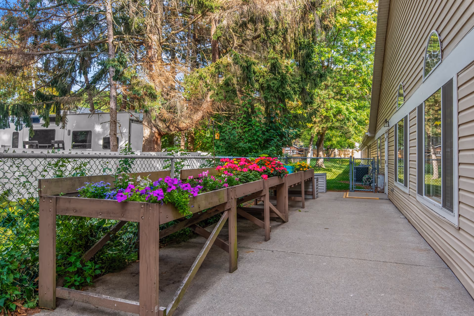 Concrete walkway beside a beige-sided building with raised wooden planter boxes of colorful flowers, a chain-link fence, and trees in the background.