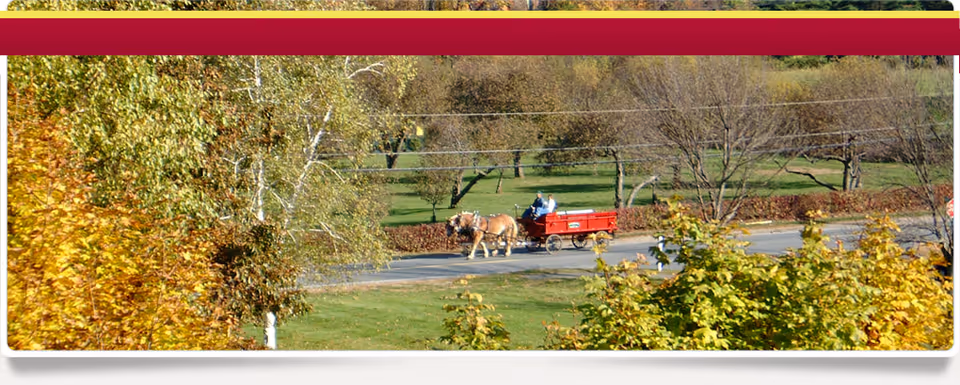 A horse pulling a red wagon with a person riding in it on a road, surrounded by green grass and trees with autumn foliage.