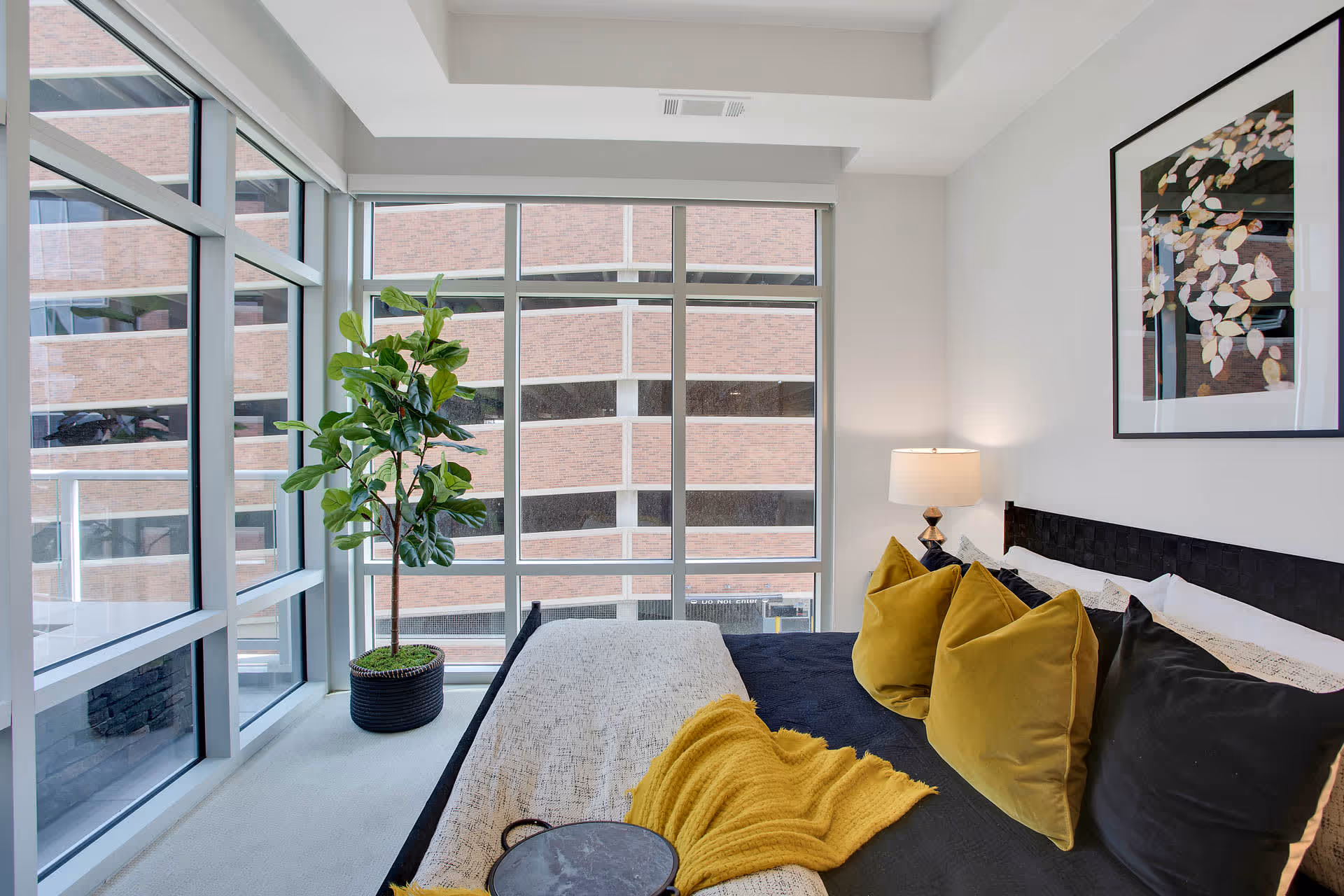 A modern bedroom with large floor-to-ceiling windows showing a view of a brick parking garage. The bed has a black headboard, black and mustard yellow pillows, a beige throw blanket, and a mustard yellow knitted throw. A potted green plant is placed near the window, and a table lamp with a white shade is on a nightstand beside the bed. A framed artwork hangs on the wall above the bed.