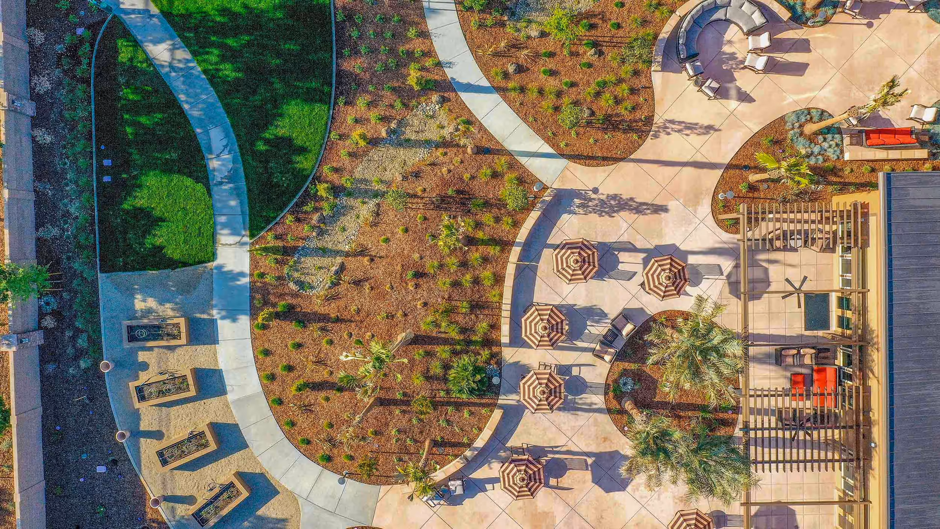 Aerial view of an outdoor patio area at Bruceville Point featuring curved walkways, several seating areas with umbrellas, lounge chairs, palm trees, and landscaped garden beds with small plants and mulch.