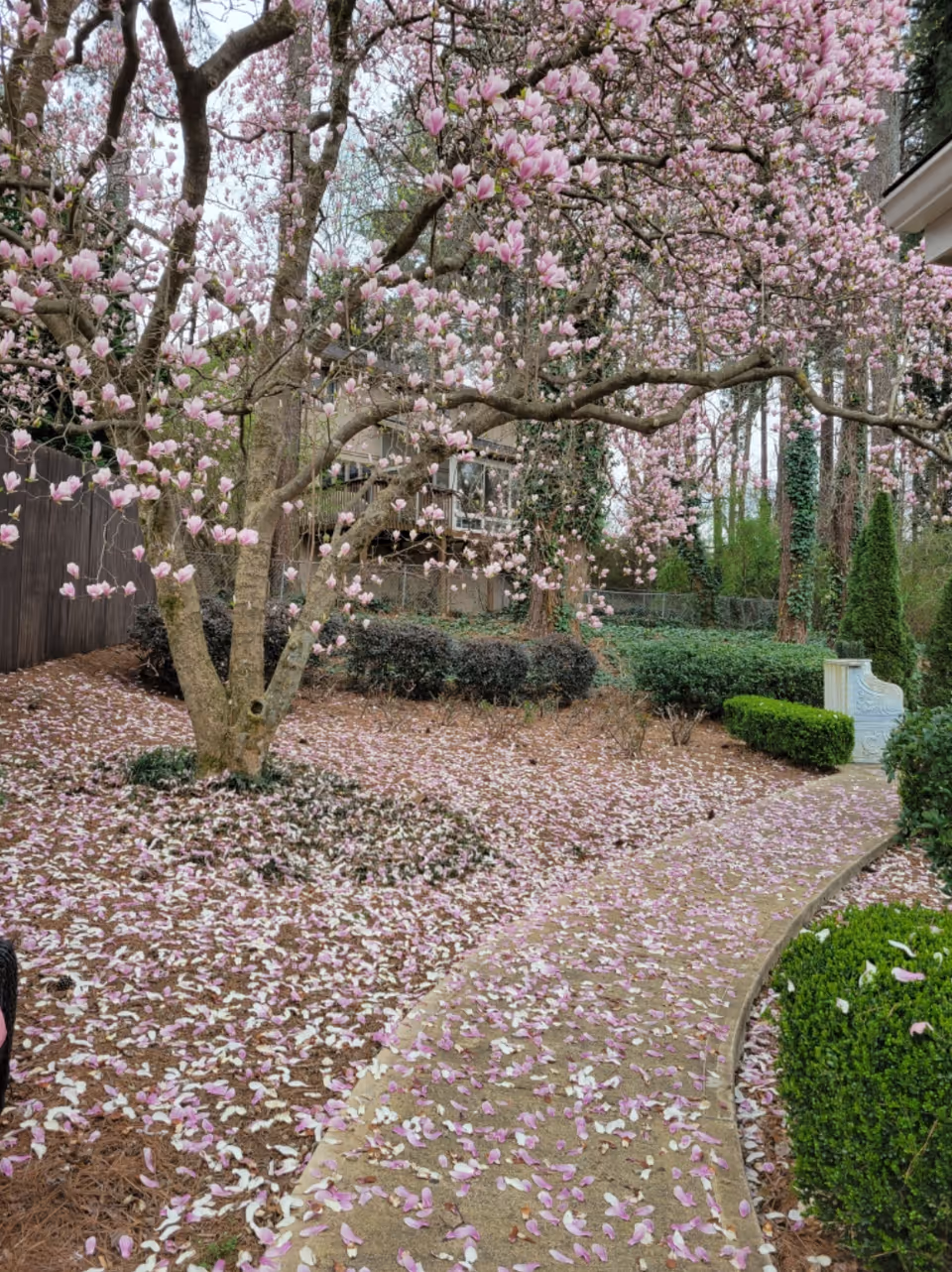 Photo 14 of Safe Haven Personal Care Homes