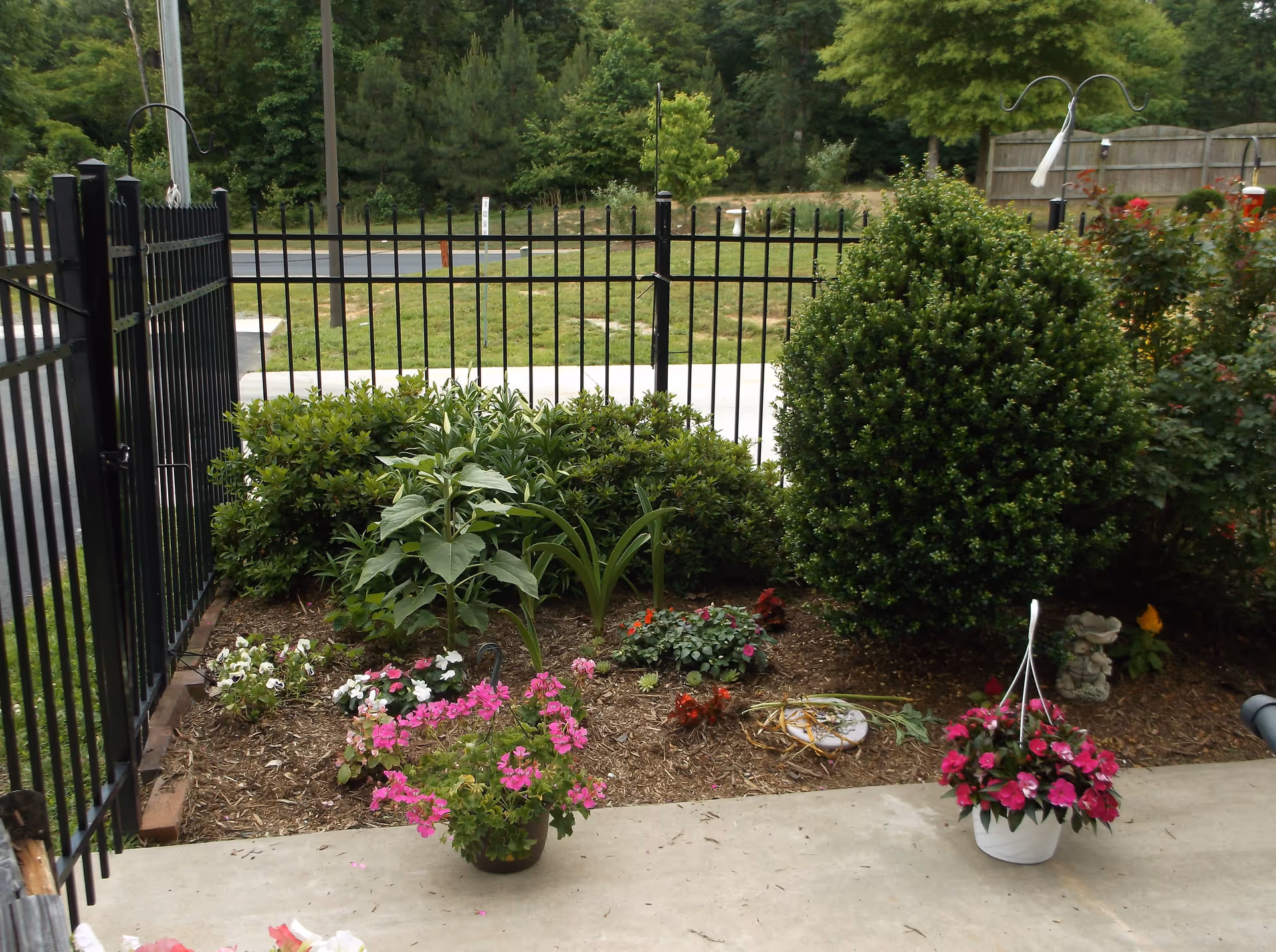 A small garden area with various green shrubs and flowering plants, including pink flowers in hanging pots, enclosed by a black metal fence. In the background, there is a grassy area and trees.