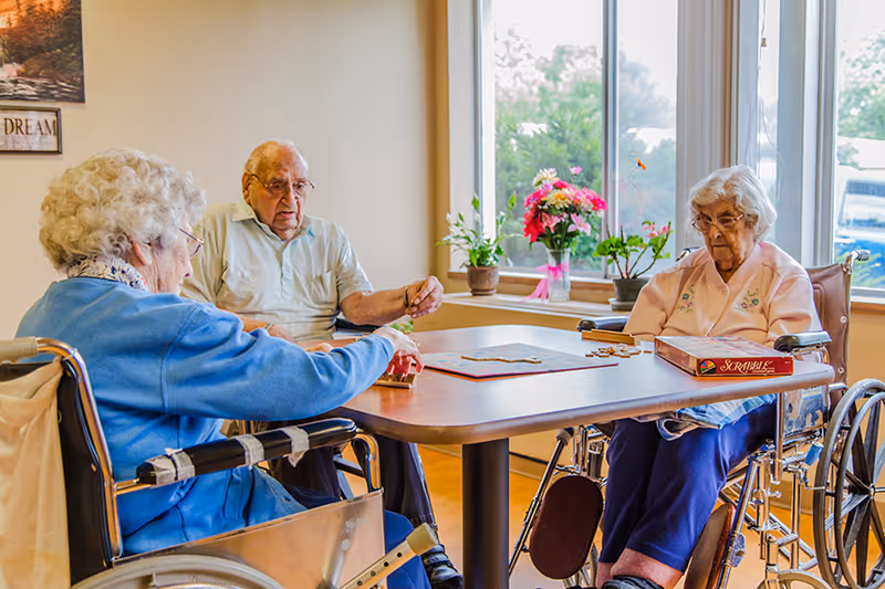 Three elderly individuals in wheelchairs sitting around a table playing a board game in a well-lit room with large windows and potted plants on the windowsill.