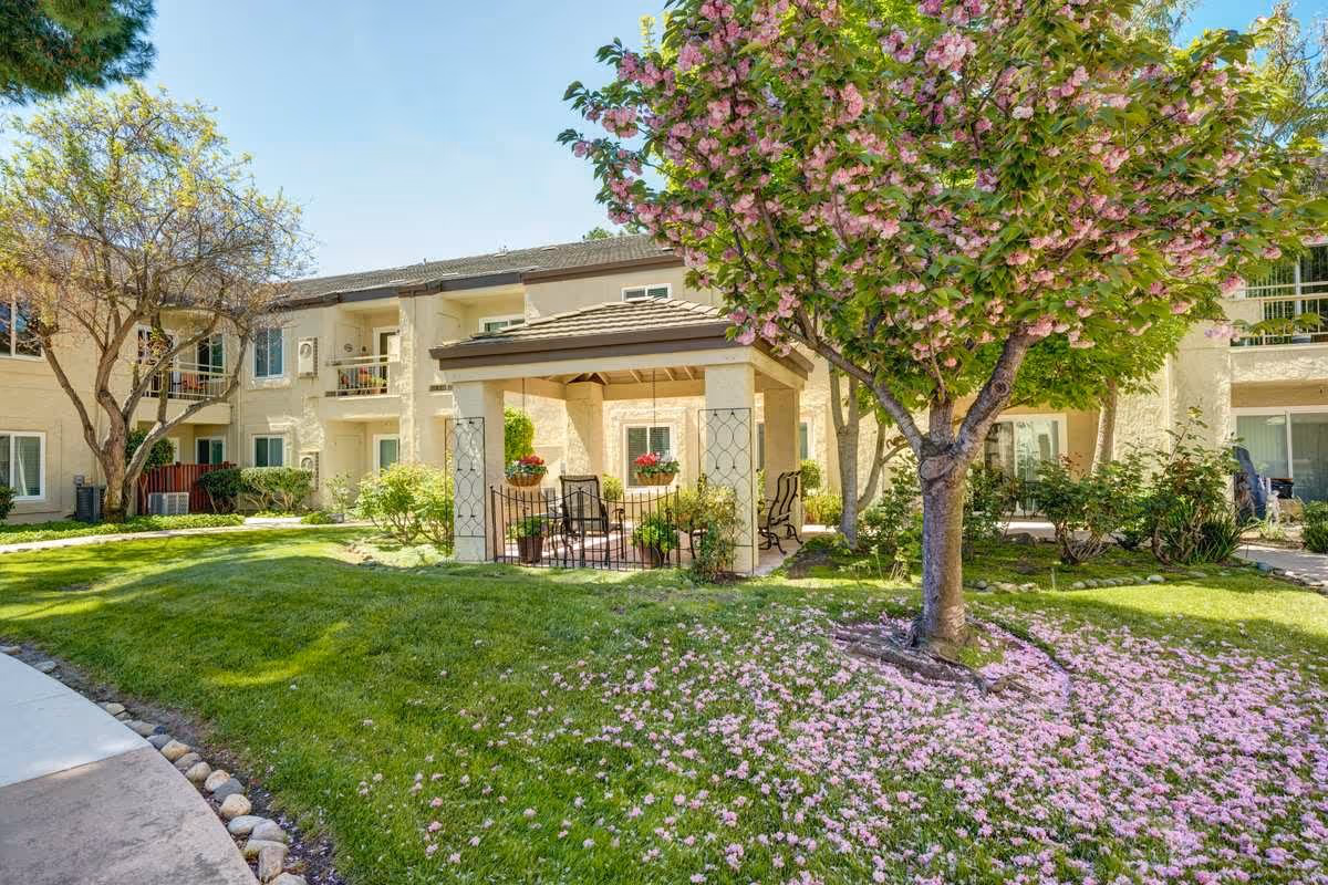 Outdoor courtyard area at The Oaks at Inglewood featuring a green lawn, a blooming tree with pink flowers, a covered seating area with chairs and potted plants, and a two-story building in the background.