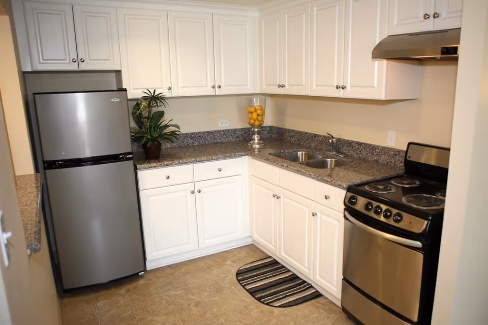 A clean, modern kitchen with white cabinets, granite countertops, a stainless steel refrigerator, a double sink, and a stainless steel electric stove with an overhead vent. There is a small striped rug on the floor and a decorative plant and a glass container filled with lemons on the countertop.