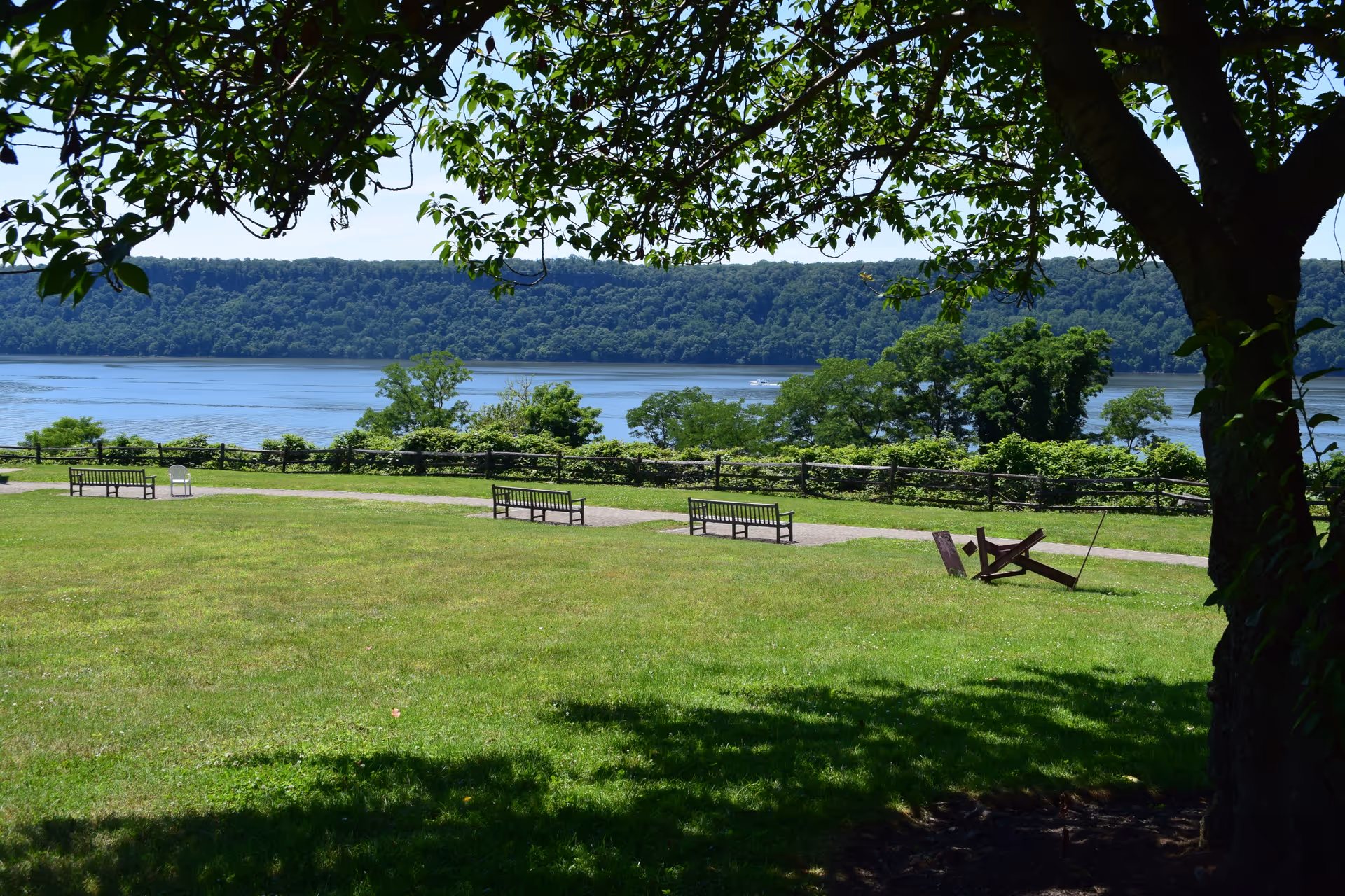A scenic outdoor view of a grassy lawn with several benches and a large tree providing shade in the foreground. Beyond the lawn is a body of water with a forested hillside in the background under a clear blue sky.