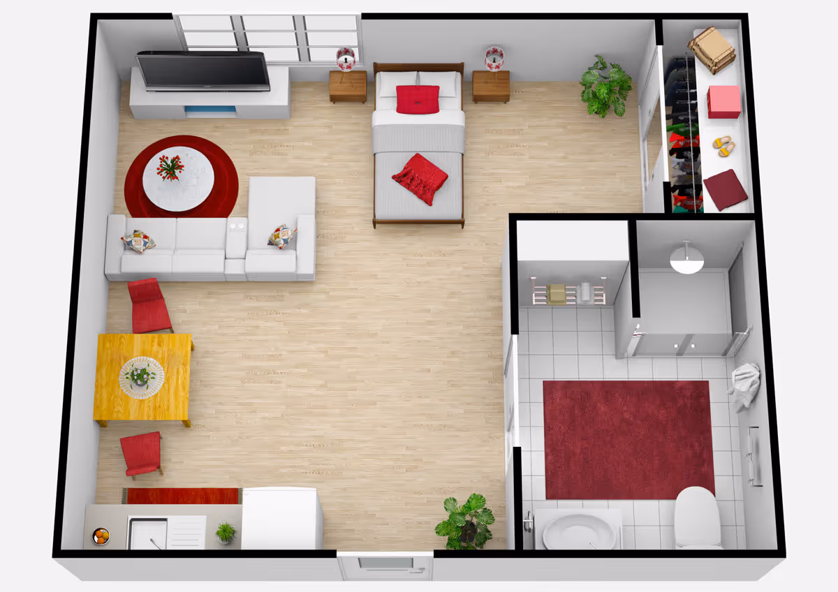 Top-down view of a studio apartment floor plan featuring a combined living and sleeping area with a bed, two nightstands, a sectional sofa, a round coffee table on a red rug, a TV on a stand, a small dining table with two chairs, and a kitchenette. The bathroom includes a toilet, sink, and shower, with a red rug on the floor. There is also a closet with shelves and hanging space, and some plants placed in the living area.