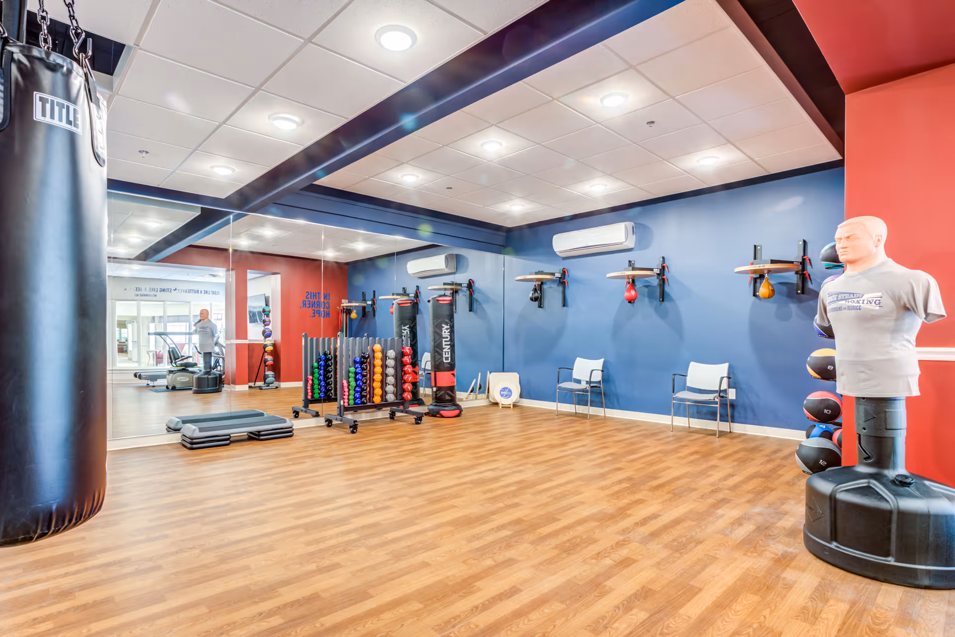 Bright exercise room with punching bags, free weights, medicine balls, mirrors, and a training dummy.