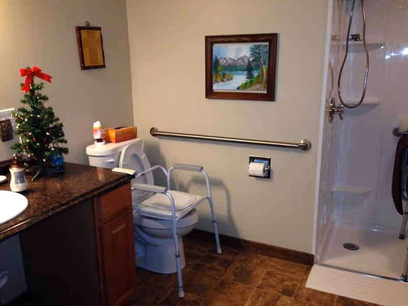 A bathroom with a toilet equipped with a white safety frame, a shower with a handheld showerhead, a granite countertop with a small decorated Christmas tree, and a framed landscape painting on the wall above a grab bar and toilet paper holder.