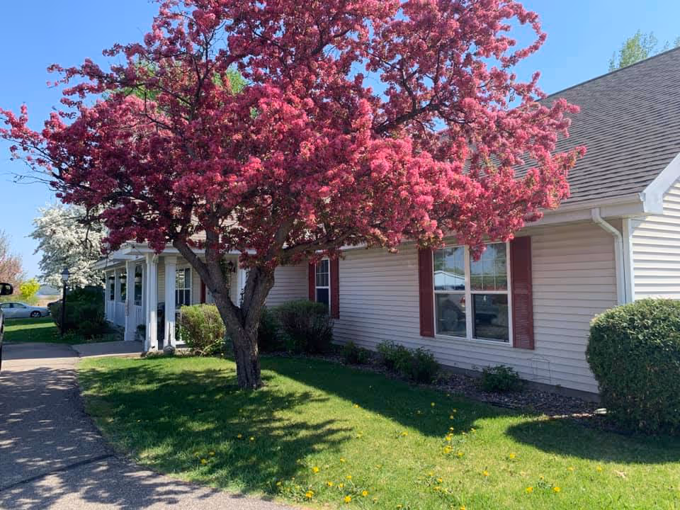Exterior view of a single-story building with beige siding and red shutters, surrounded by green grass and bushes. A large tree with vibrant pink blossoms stands prominently in front of the building under a clear blue sky.