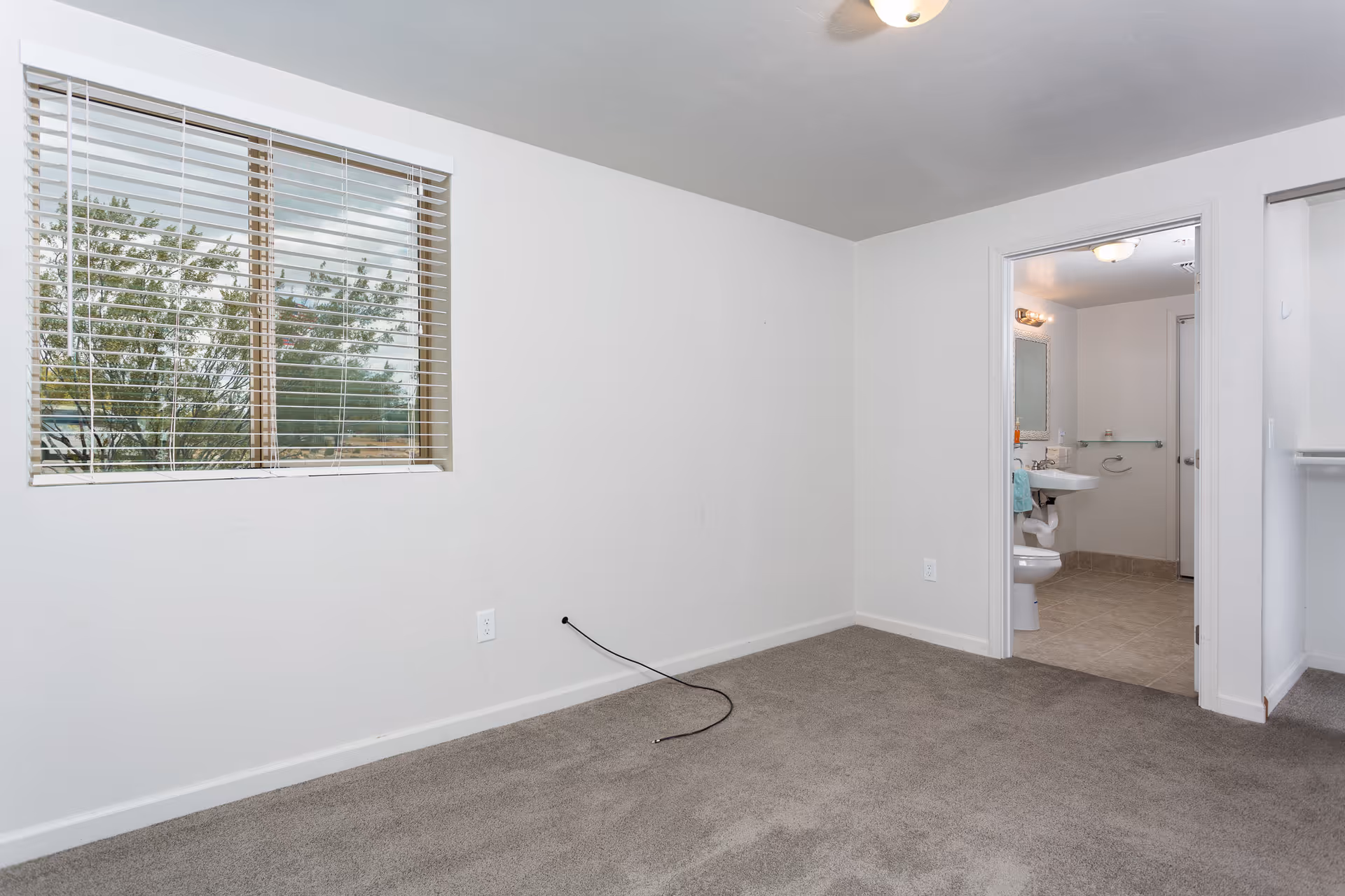 Empty room with beige carpet and white walls, a window with blinds showing trees outside, and an open doorway leading to a bathroom with a sink, mirror, and toilet visible.