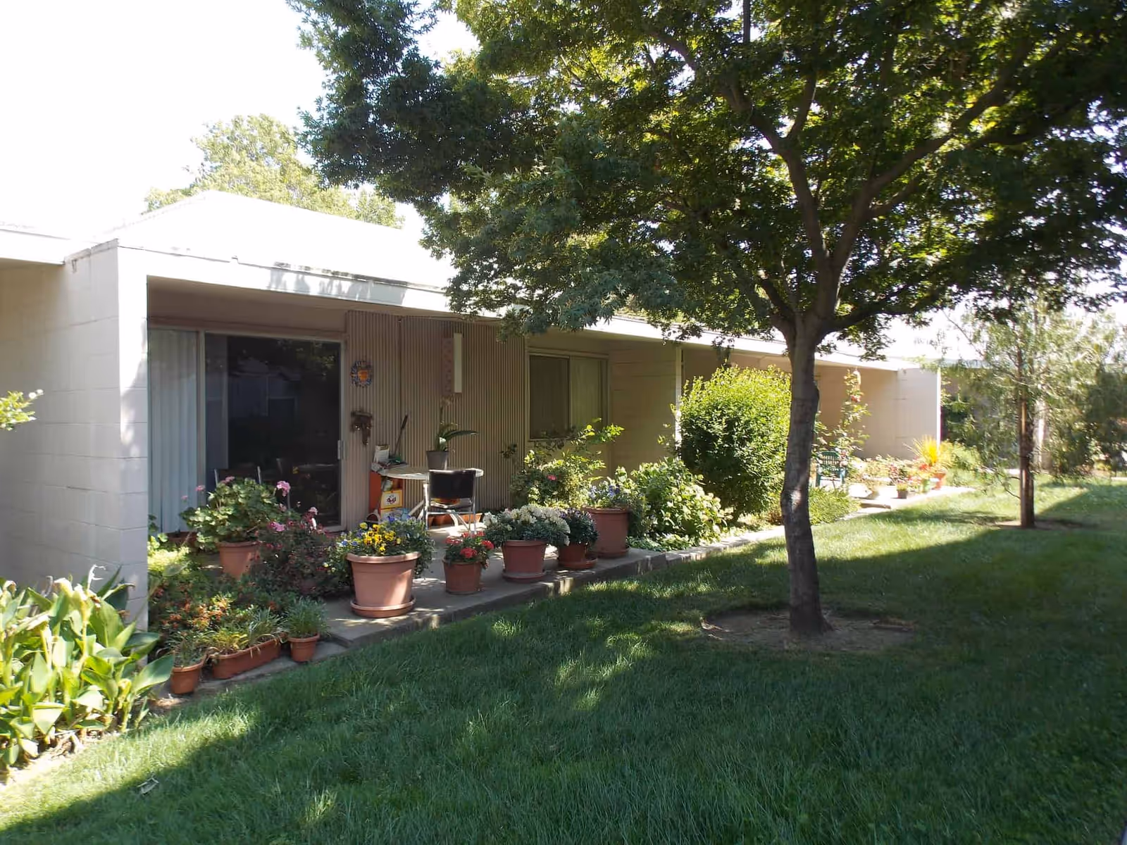 Exterior view of a single-story building with a covered patio area featuring multiple potted plants and flowers. A large tree provides shade over a grassy lawn in front of the building.