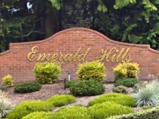 Brick entrance sign reading 'Emerald Hills' in gold script set amid landscaped shrubs and evergreen trees.