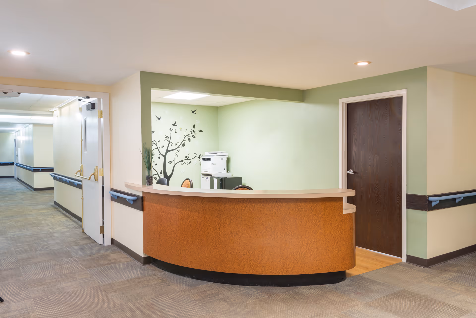Reception desk area inside a senior living facility with a curved wooden counter, green walls, a dark wooden door, and a hallway extending to the left. There is a decorative wall decal of a tree with birds behind the desk and office chairs and a printer visible in the background.