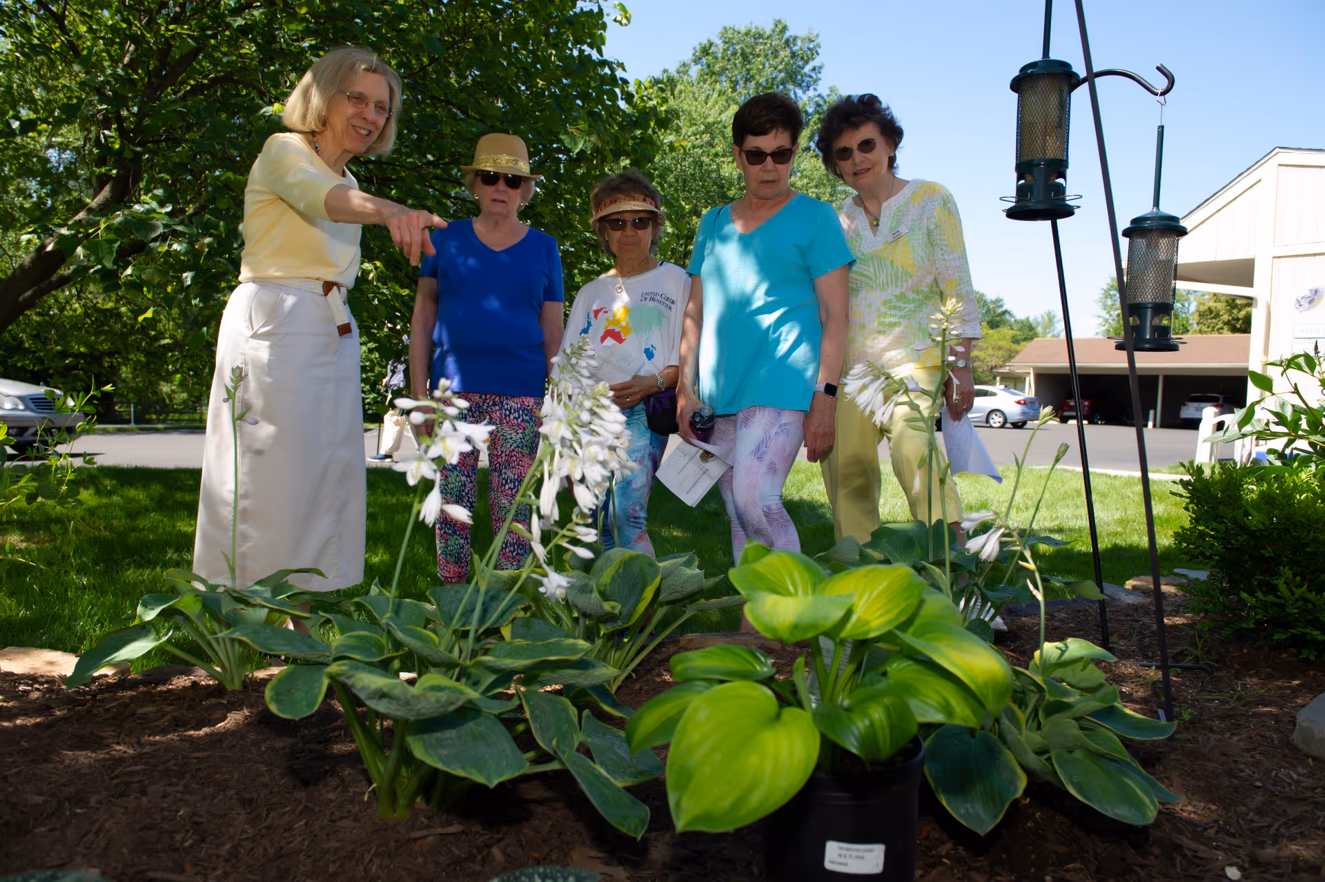Five elderly women standing outdoors in a garden area, looking at and discussing plants. They are surrounded by green foliage and flowers, with a parking lot and building visible in the background under a clear blue sky.