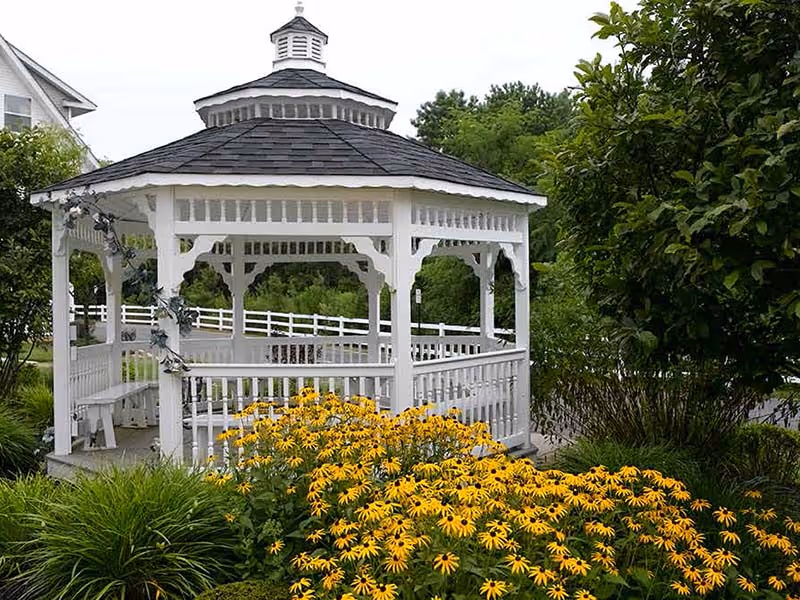 A white wooden gazebo with a shingled roof set amid yellow flowering plants and green shrubs.