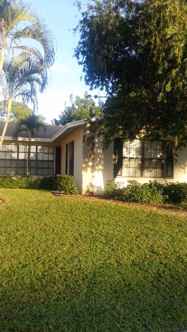 Single-story house front with large windows, a green lawn and palm trees under a clear sky.