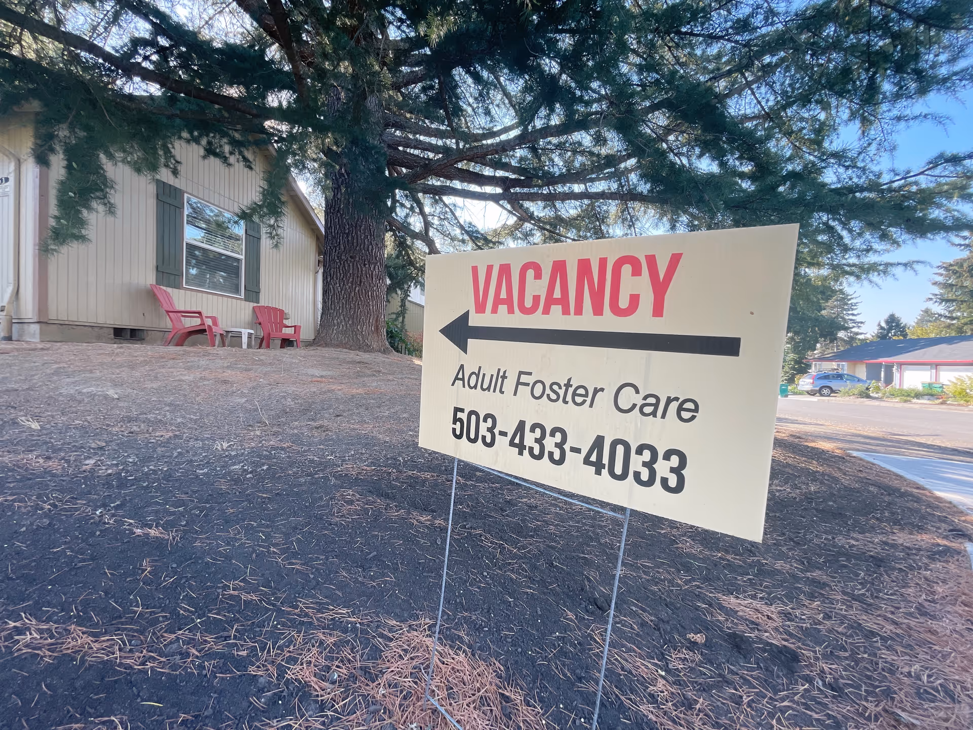 Outdoor scene showing a sign on a grassy area with pine needles. The sign reads 'VACANCY Adult Foster Care 503-433-4033' with an arrow pointing left. In the background, there is a building with windows and two red chairs under a large tree.