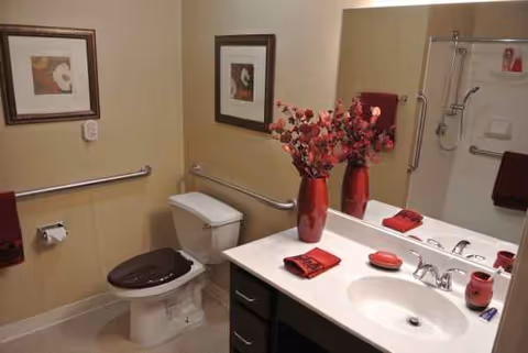 Accessible bathroom with toilet, sink, mirror vanity, grab bars, and red decor.