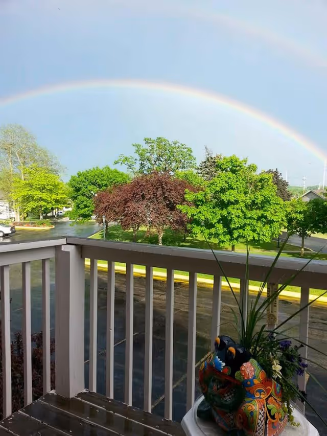 View from a balcony railing overlooking a parking lot and green trees with a bright rainbow overhead and a colorful planter in the foreground.