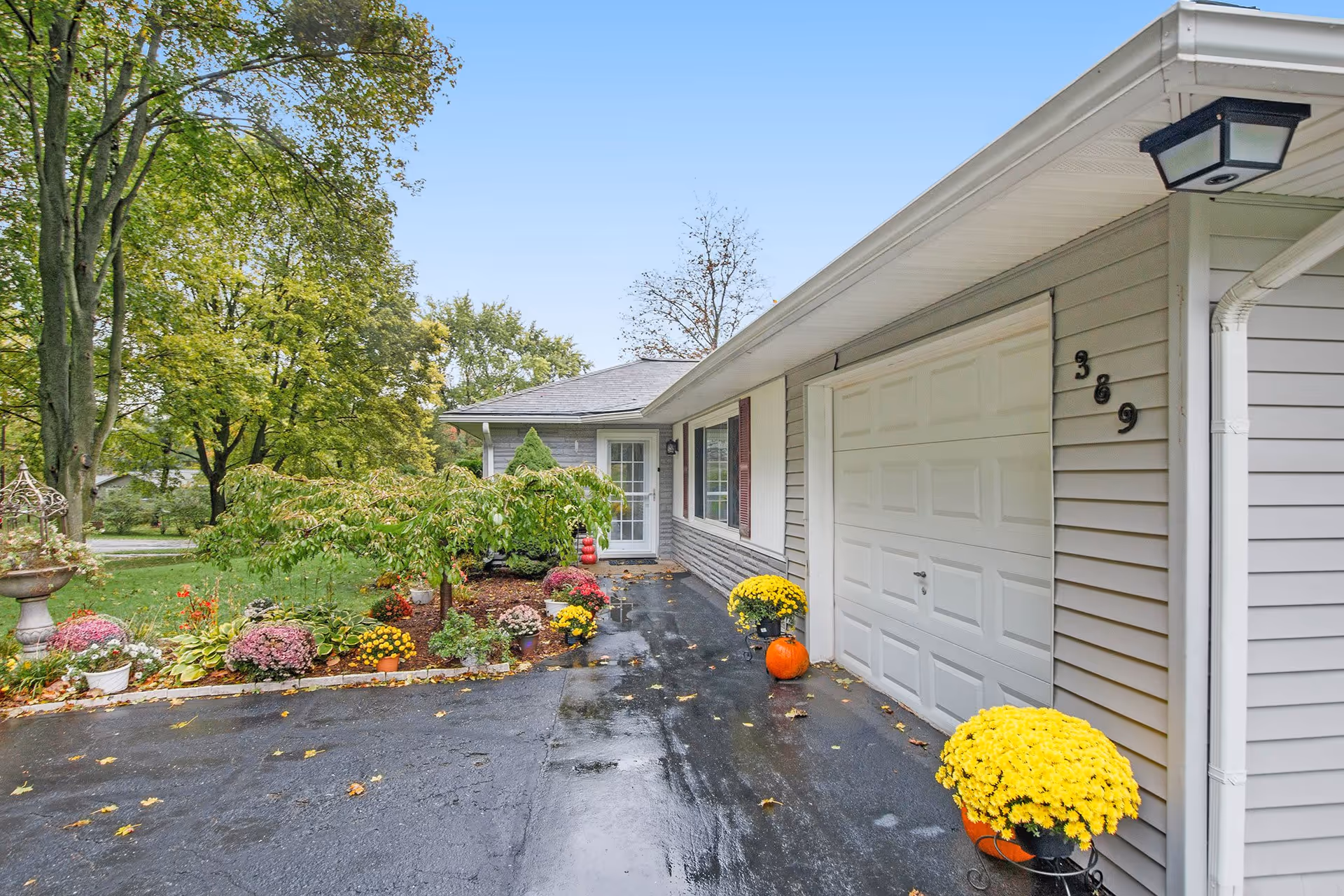 Front exterior of a single-story house with an attached garage, wet driveway, and autumn potted flowers and pumpkins.