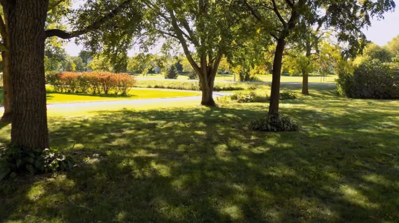 A sunny outdoor scene with green grass, several large trees casting shadows, and a paved pathway in the background surrounded by bushes and more trees.