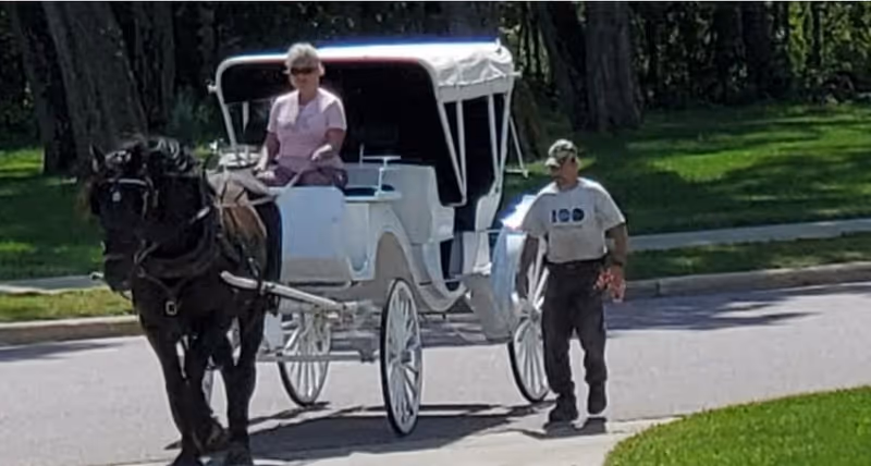 A woman is sitting in a white horse-drawn carriage being pulled by a black horse. A man is walking beside the carriage on a paved road with green grass and trees in the background.