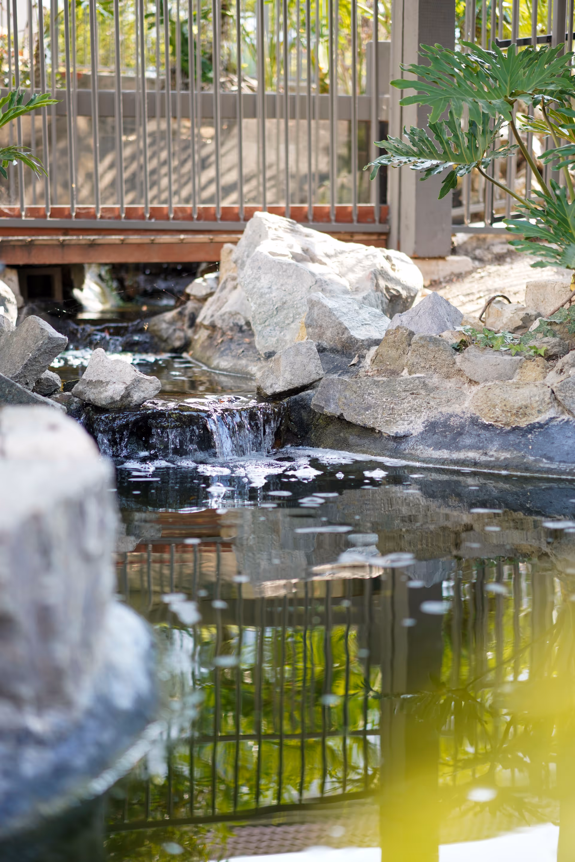 A small outdoor water feature with a gentle waterfall flowing over rocks into a pond, surrounded by greenery and a metal fence in the background.