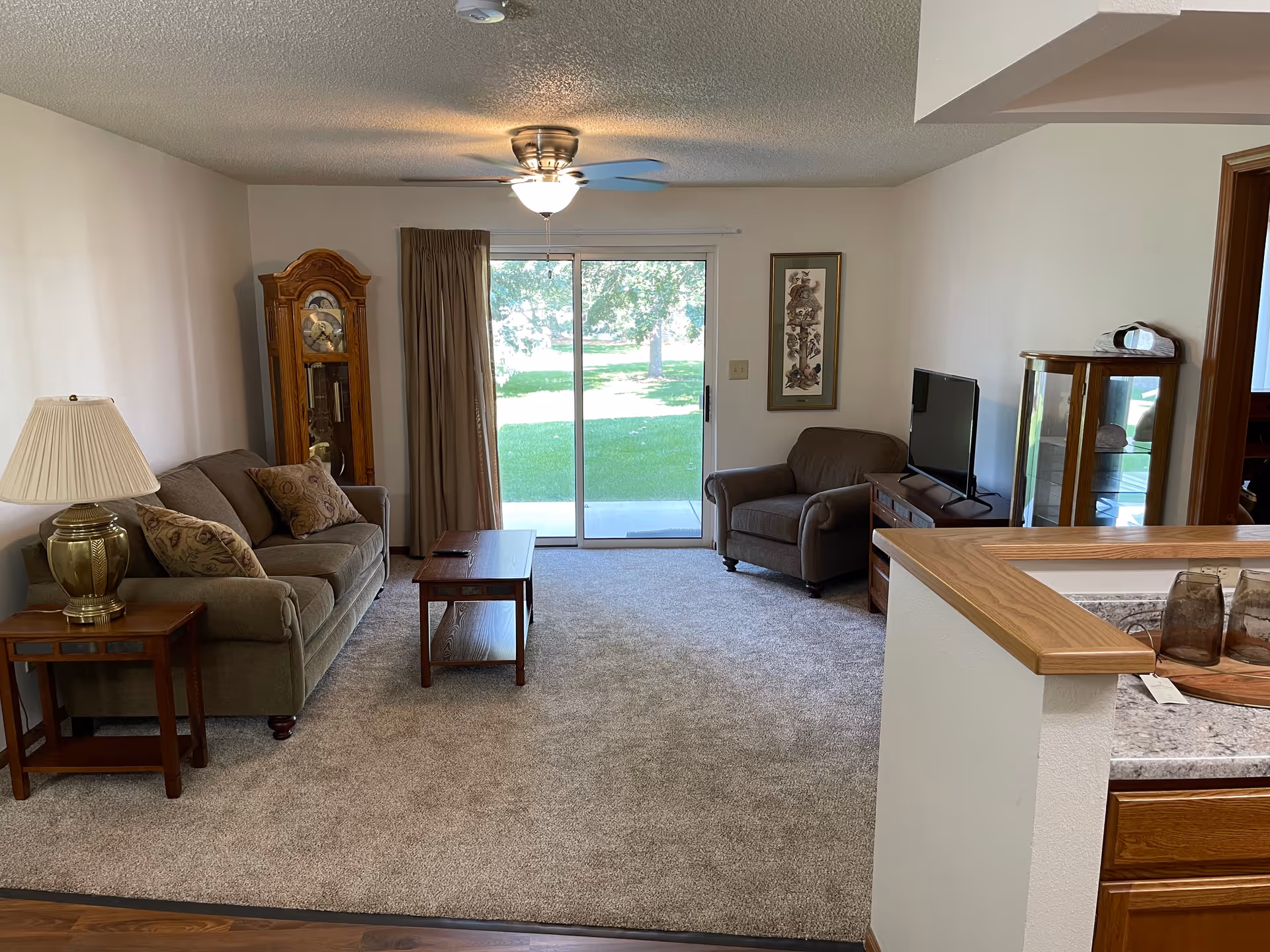 Carpeted living room with a sofa, armchair, grandfather clock, TV, coffee table, and sliding glass door opening to a lawn, with a kitchen counter visible in the foreground.