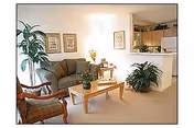 A cozy living room with a beige carpet, a green sofa, a wooden coffee table with a small plant, a wooden armchair with patterned upholstery, and various framed pictures on the wall. There are also several green plants placed around the room, and a partial view of a kitchen area with white cabinets and countertops.