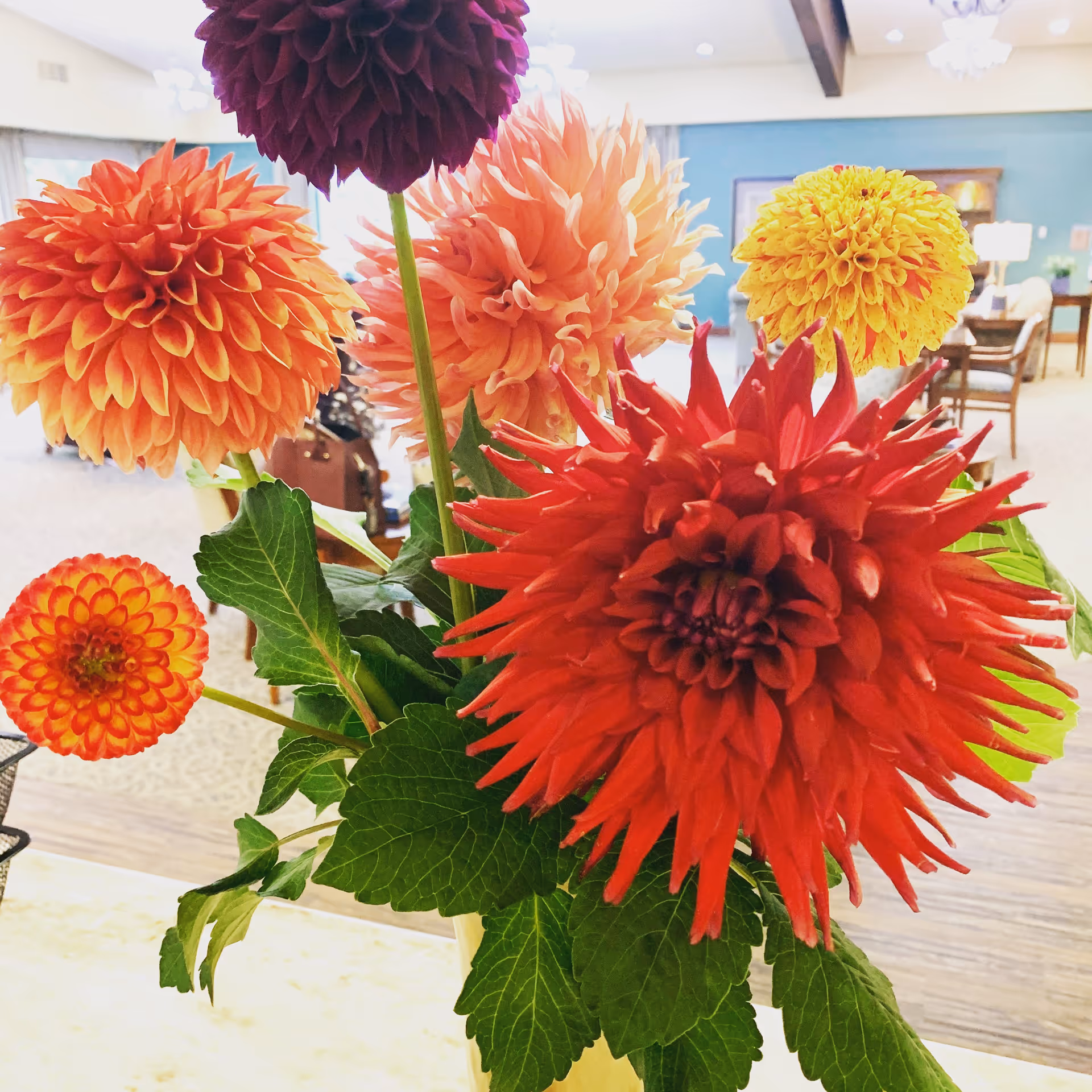 Close-up of a colorful bouquet of dahlias in various shades of red, orange, yellow, and purple placed indoors with a blurred background showing a seating area with chairs and tables.