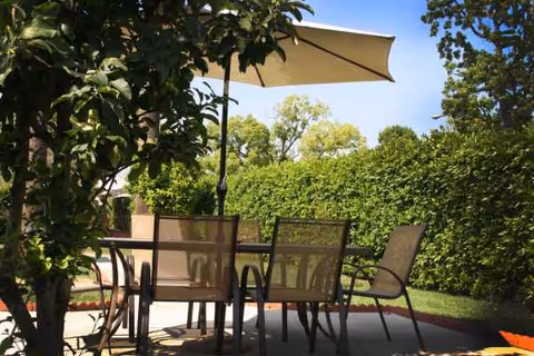 Outdoor patio with glass table, chairs, and umbrella amid lush greenery.