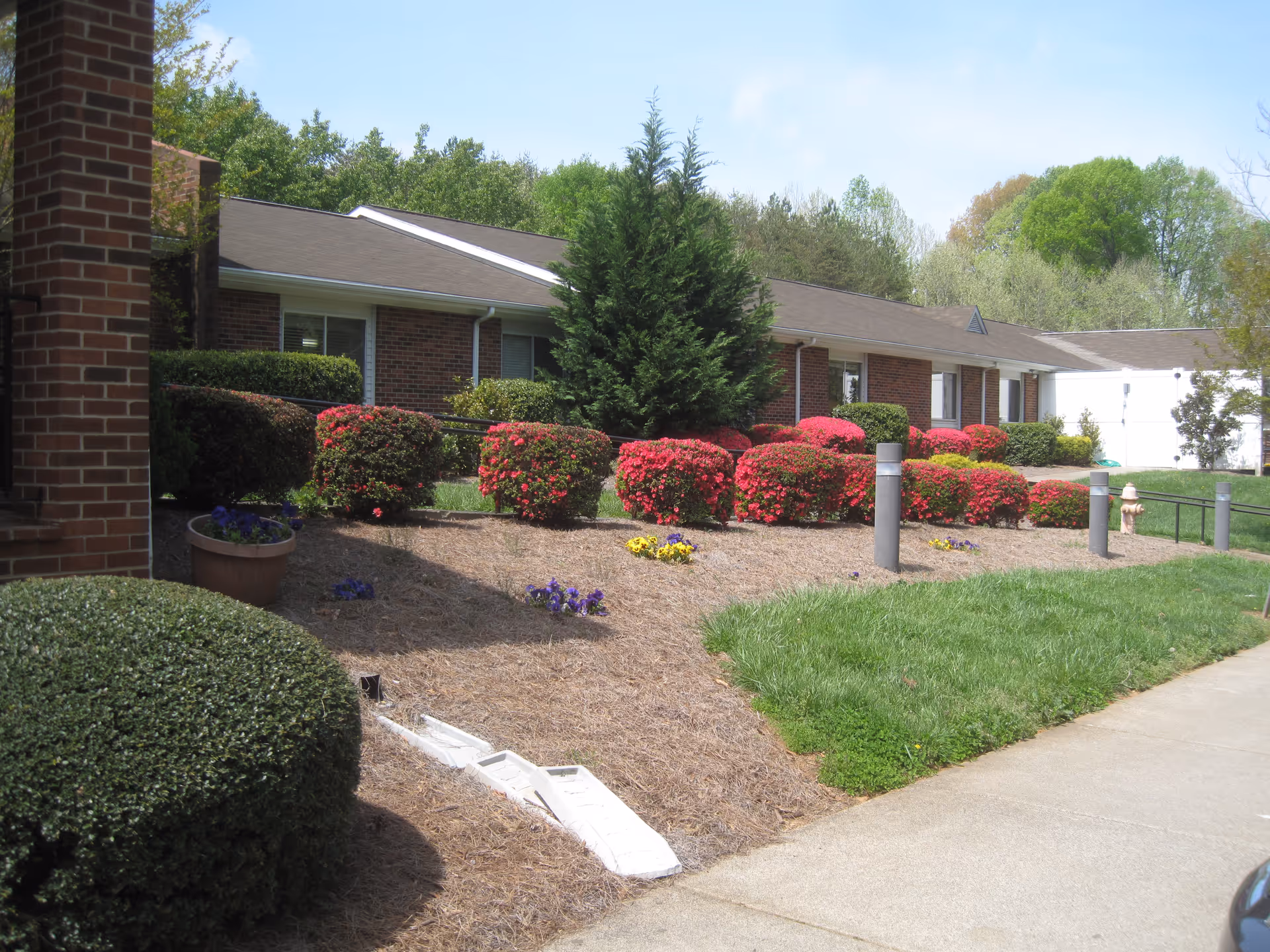 Single-story brick building front with manicured shrubs, flowering bushes, and a sidewalk in front.