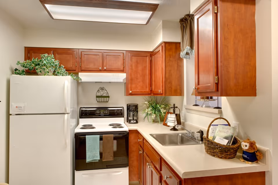 A compact kitchen with wooden cabinets, a white refrigerator, an electric stove with two towels hanging on the handle, a coffee maker, a sink, and a countertop decorated with a basket holding books and a small stuffed owl. There are also some green plants on top of the refrigerator and near the sink.