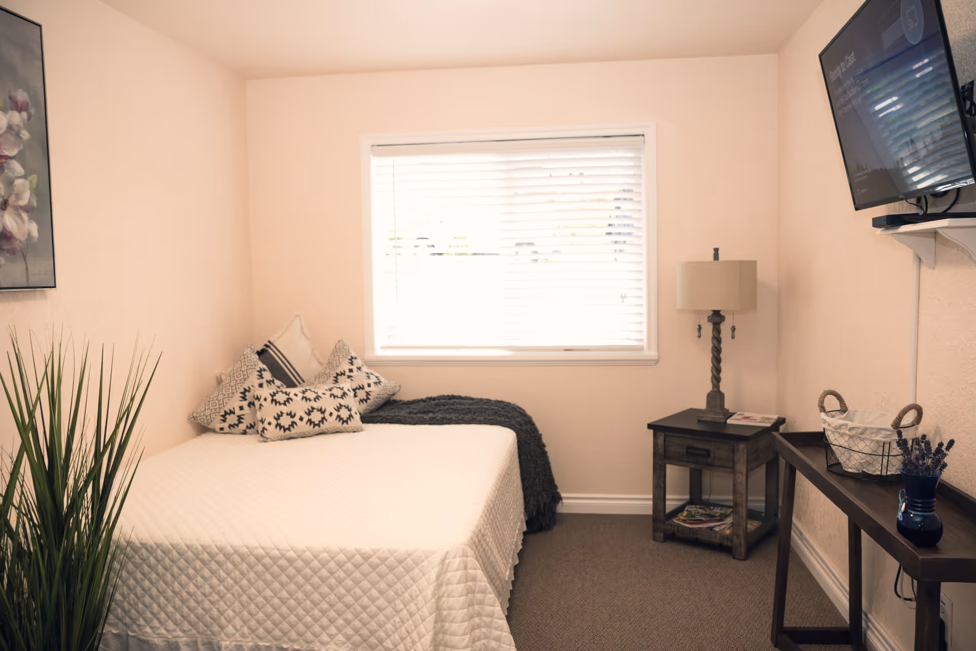 A small, cozy bedroom with a neatly made bed covered in a white quilt and several decorative pillows. There is a window with white blinds above the bed, a wooden nightstand with a lamp and some magazines, a wall-mounted TV, a narrow console table with a basket and a small vase with lavender, and a tall green plant in the corner. The walls are painted light beige.