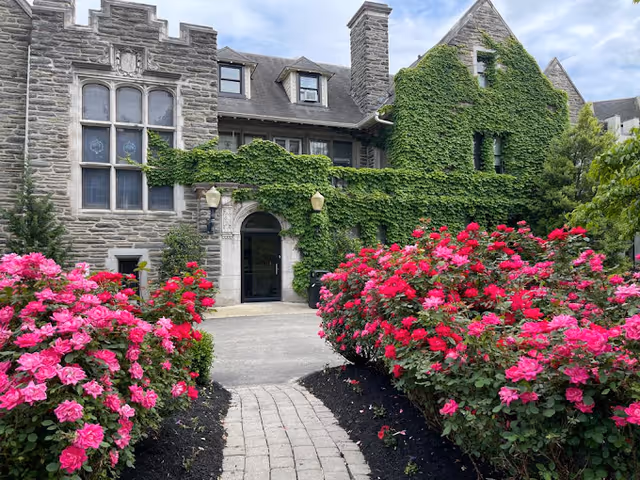 Stone building covered partially with green ivy, featuring large windows and an arched entrance. In front of the building, there is a paved walkway lined with vibrant pink and red flowering bushes on both sides.