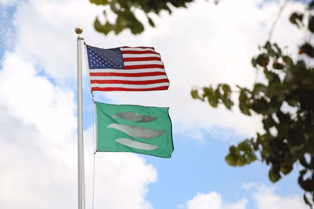 Two flags flying on a flagpole against a partly cloudy sky. The top flag is the United States flag, and the bottom flag is green with a white abstract design. Tree branches with green leaves frame the image on the right side.