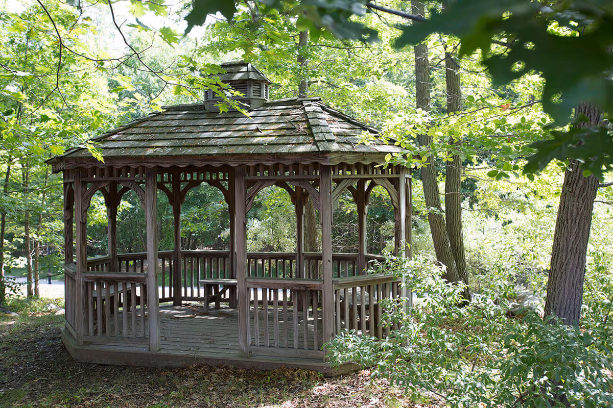 A wooden gazebo with a shingled roof situated in a lush, green wooded area surrounded by trees and bushes.