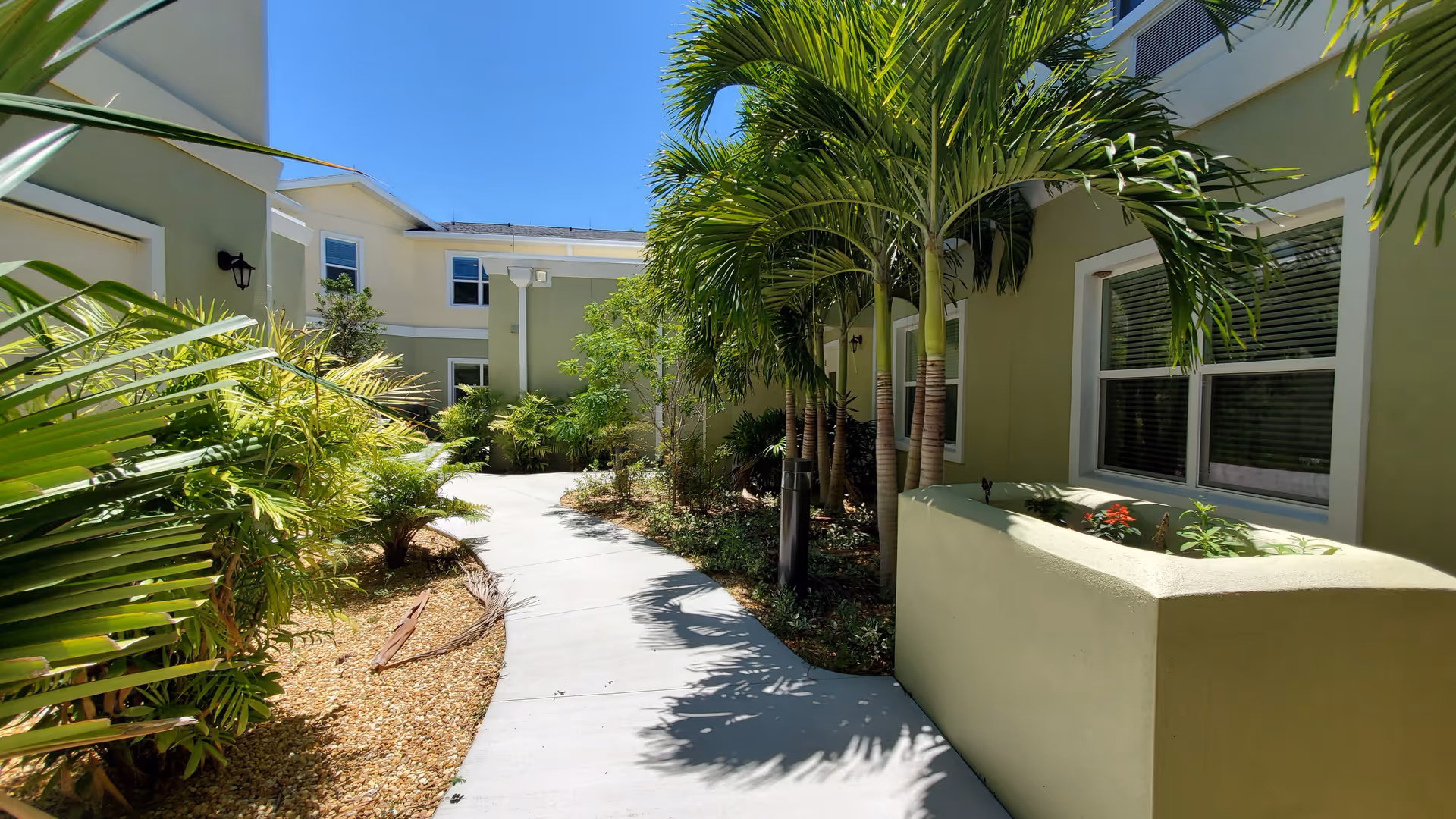 Sunlit courtyard walkway between pale green senior living building wings lined with palm trees and tropical landscaping.