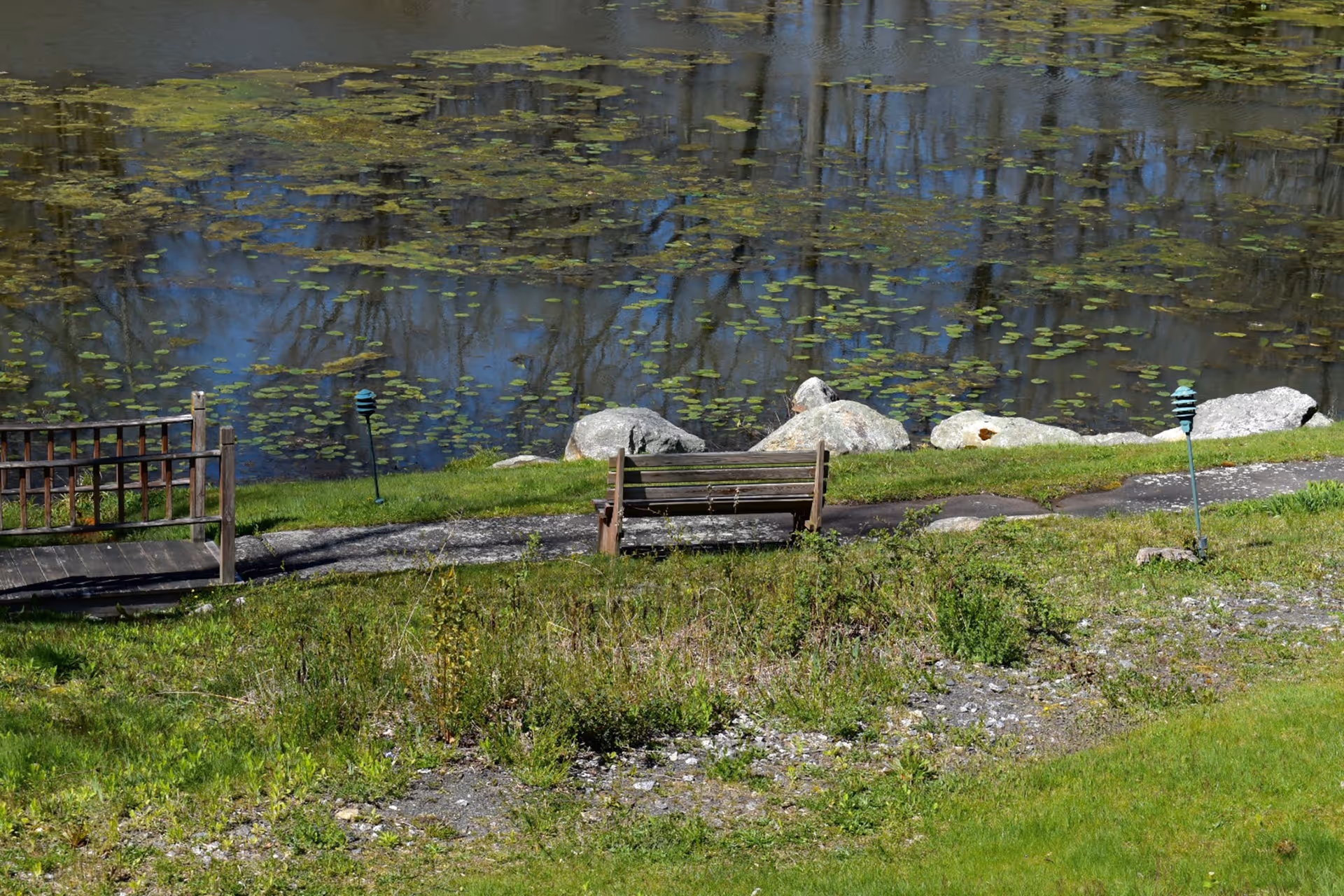 A wooden bench and small bridge on a grassy shore overlooking a pond dotted with lily pads and rocks.