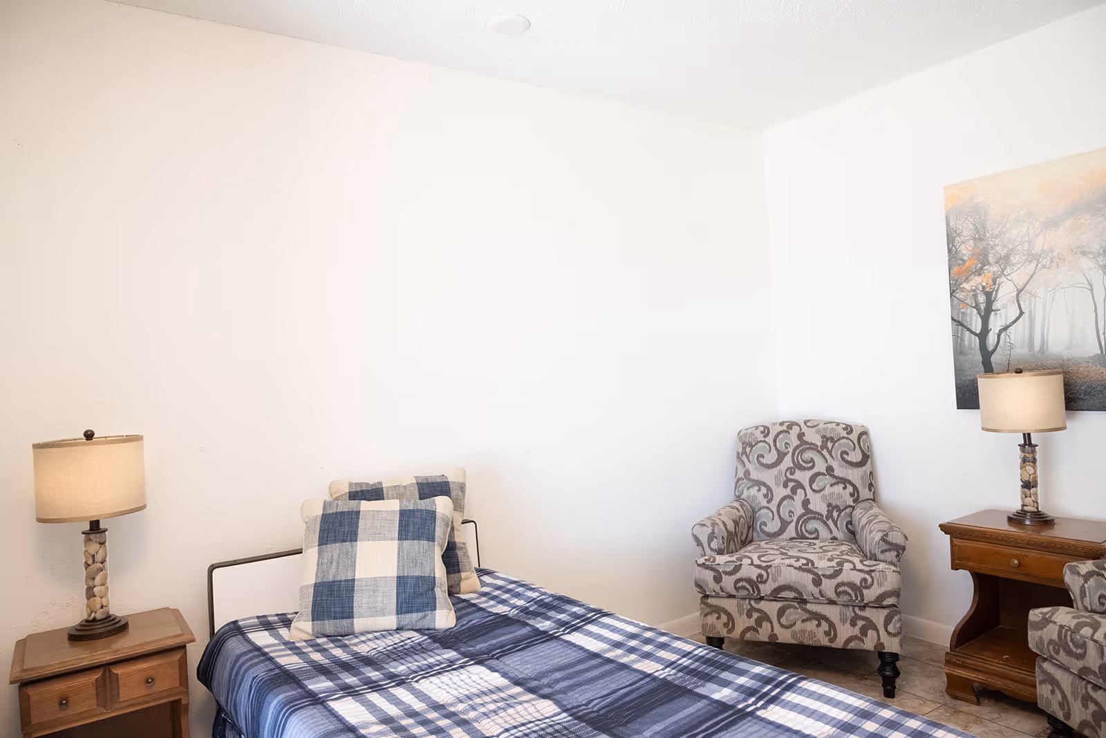 A bedroom with a single bed covered in a blue and white checkered blanket and matching pillows. There are two wooden nightstands on either side of the bed, each with a lamp. To the right, there is a patterned armchair and a wooden side table with another lamp. A framed picture of a foggy forest scene hangs on the wall above the armchair.