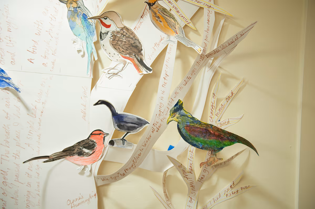 A close-up view of a wall decoration featuring colorful paper cutouts of various birds attached to white paper branches with handwritten notes and descriptions around them.