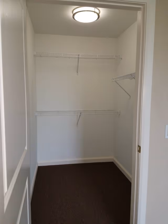 Empty walk-in closet with white walls, brown carpeted floor, two white wire shelves on the back wall, one white wire shelf on the right wall, and a round ceiling light fixture.