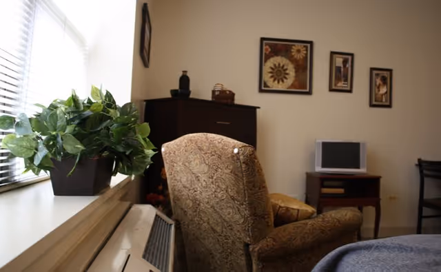 A cozy room with a patterned armchair facing away from the camera, a small TV on a wooden stand, a dark wooden cabinet, and three framed pictures on a beige wall. A green potted plant sits on a windowsill with blinds partially open, allowing natural light to enter.