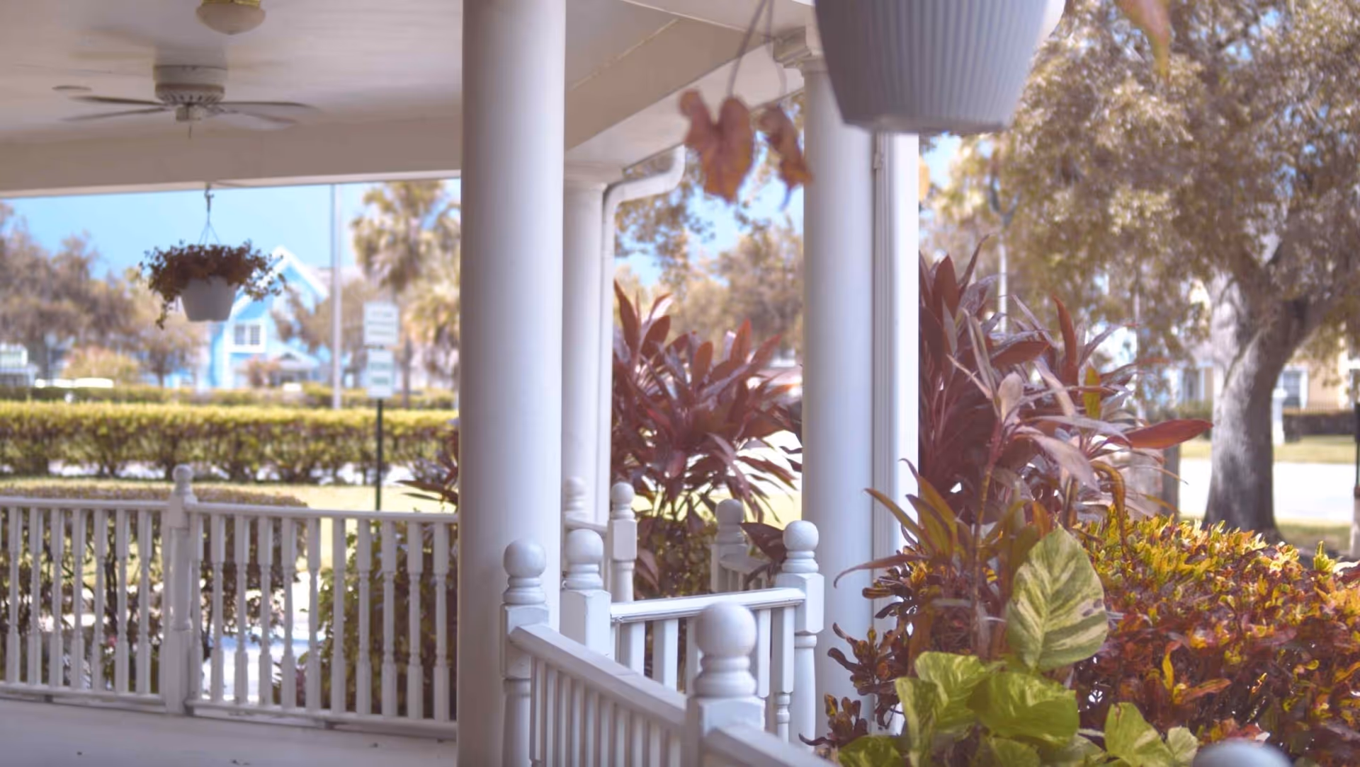 View of a covered porch with white railings and columns, hanging potted plants, and various green and red foliage. In the background, there are trees, bushes, and a glimpse of houses across the street under a clear sky.