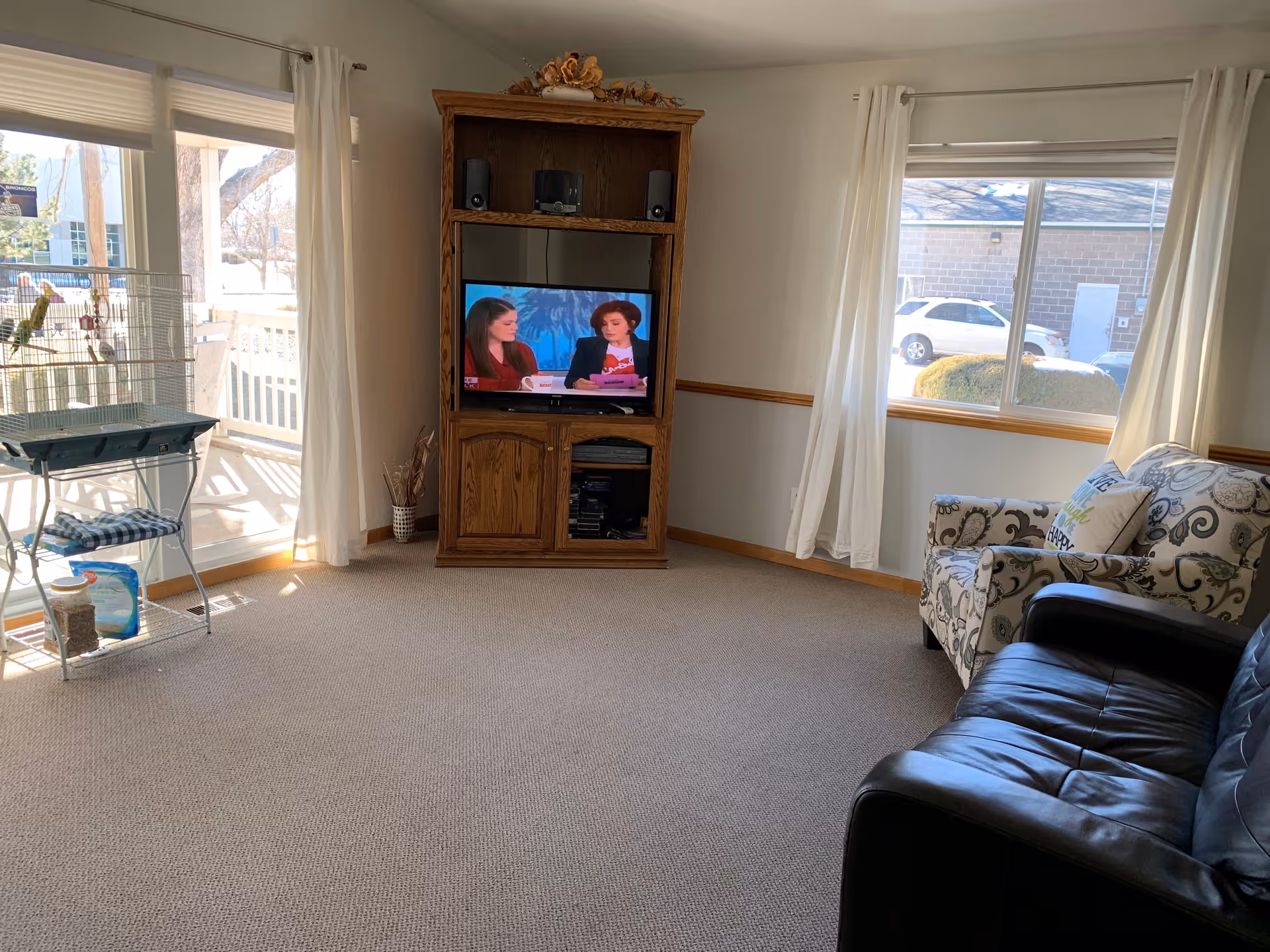 A cozy living room with a wooden entertainment center holding a television showing two women talking. There is a birdcage with a bird on a stand near a sliding glass door with white curtains. The room has a patterned armchair with a decorative pillow and a black leather sofa. Two large windows with white curtains let in natural light, and outside a car and bushes are visible.