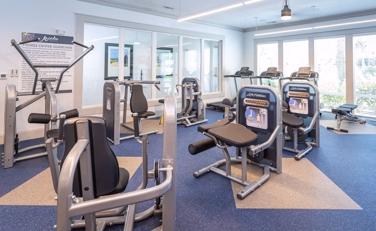 A bright fitness center with several weight machines and treadmills arranged on blue and gray carpeting in front of large windows.