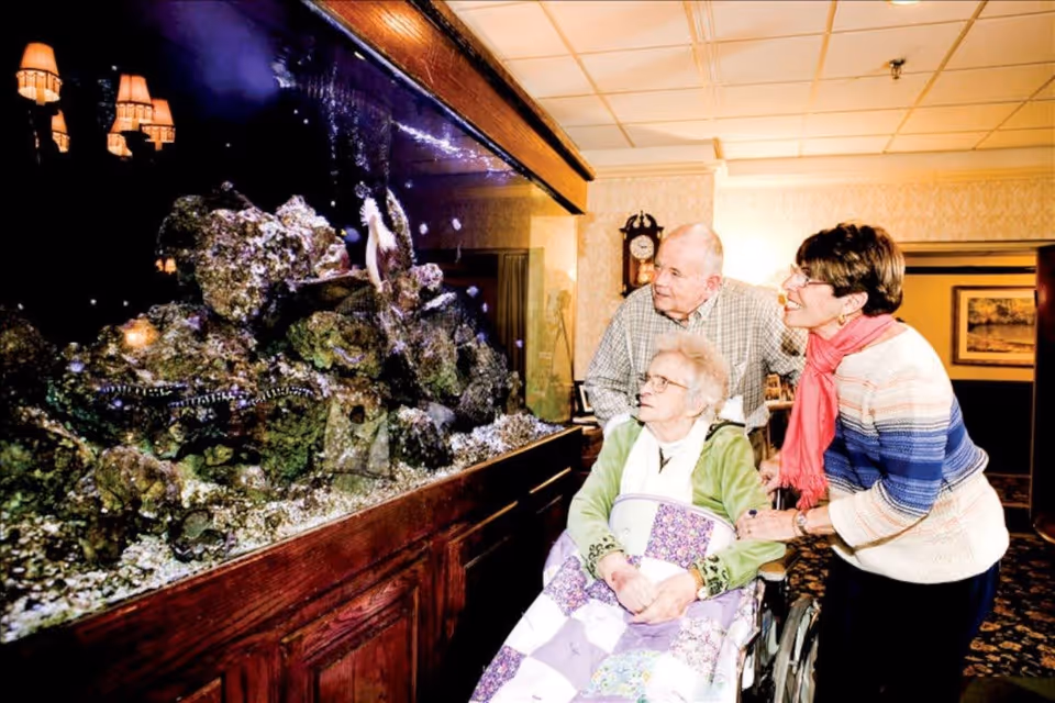 An elderly woman in a wheelchair covered with a quilt is looking at a large aquarium filled with rocks and marine life. She is accompanied by a man and a woman who are both standing beside her, also looking at the aquarium. The setting appears to be a cozy indoor area with warm lighting and traditional decor.